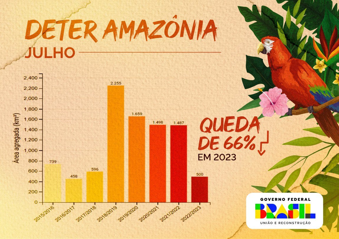Desmatamento na Amazônia tem queda histórica de 66% em julho