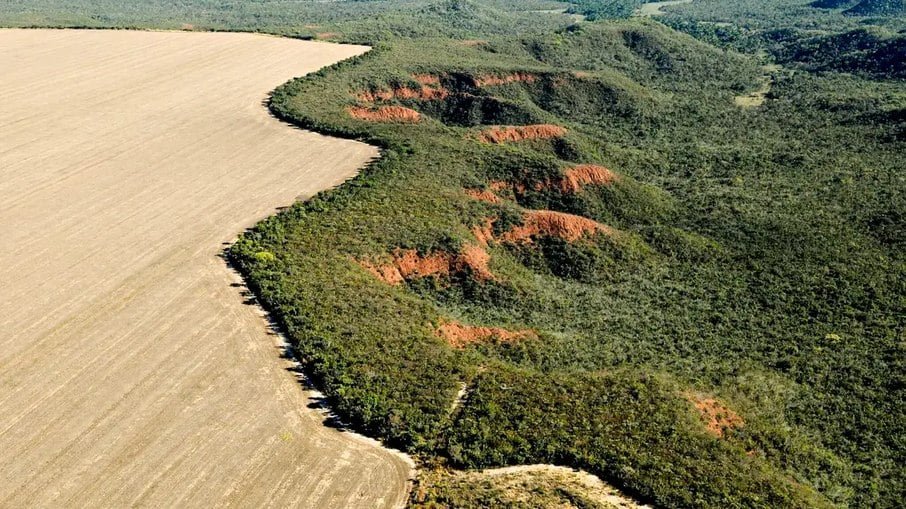 Cerrado tem alta de 19% nos alertas de desmatamento em fevereiro