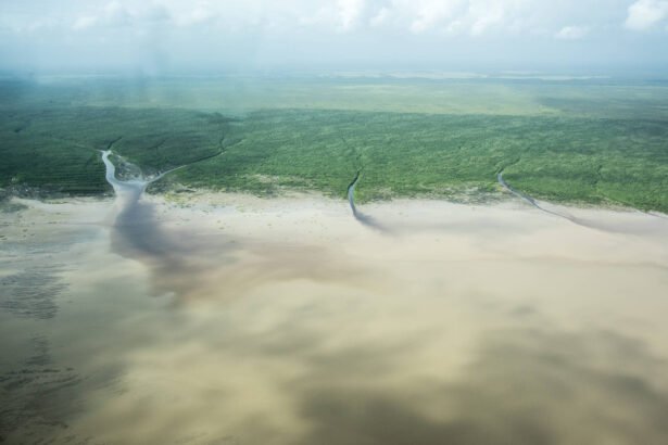 Foz do Amazonas: Lula fará decreto sobre estudo ambiental - 25/03/2024 - Ambiente