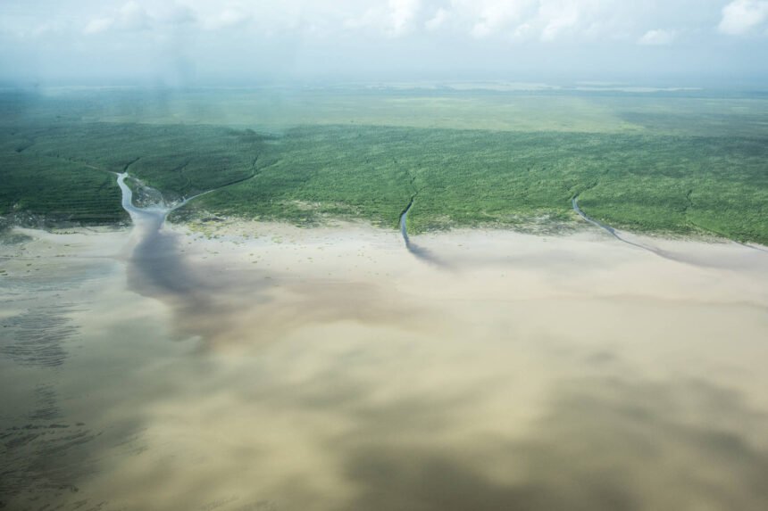 Foz do Amazonas: Lula fará decreto sobre estudo ambiental - 25/03/2024 - Ambiente