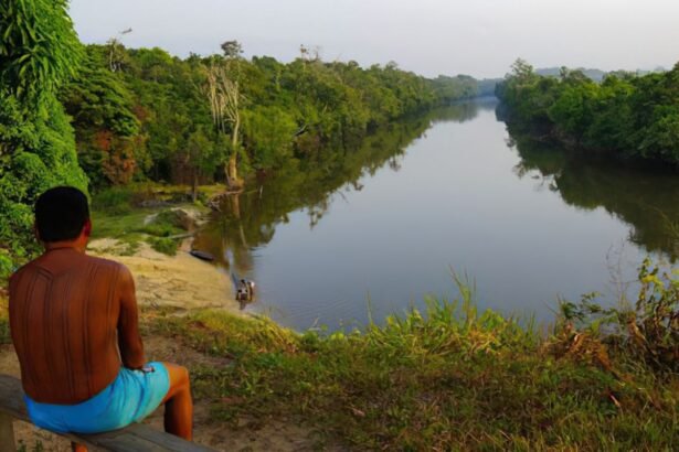 Justiça determina saída de invasores de terra indígena no Pará