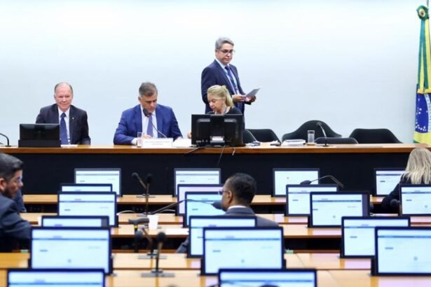 Instauração de processos e apreciação de pareceres preliminares no Conselho de Ética da Câmara dos Deputados — Foto: Vinicius Loures/Câmara dos Deputados