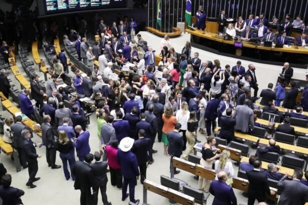 Sessão da Câmara para votar parecer sobre prisão do deputado Chiquinho Brazão, suspeito de ser um dos mandantes da morte de Marielle Franco — Foto: Zeca Ribeiro/Câmara dos Deputados