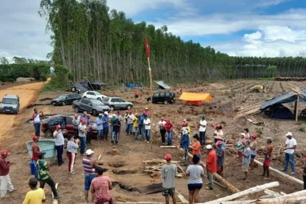 Invasão do MST a fazenda na Bahia  — Foto: Divulgação Coletivo de Comunicação do MST-BA