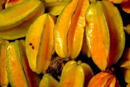 Carambola: quais os benefícios e quando a fruta pode fazer mal?