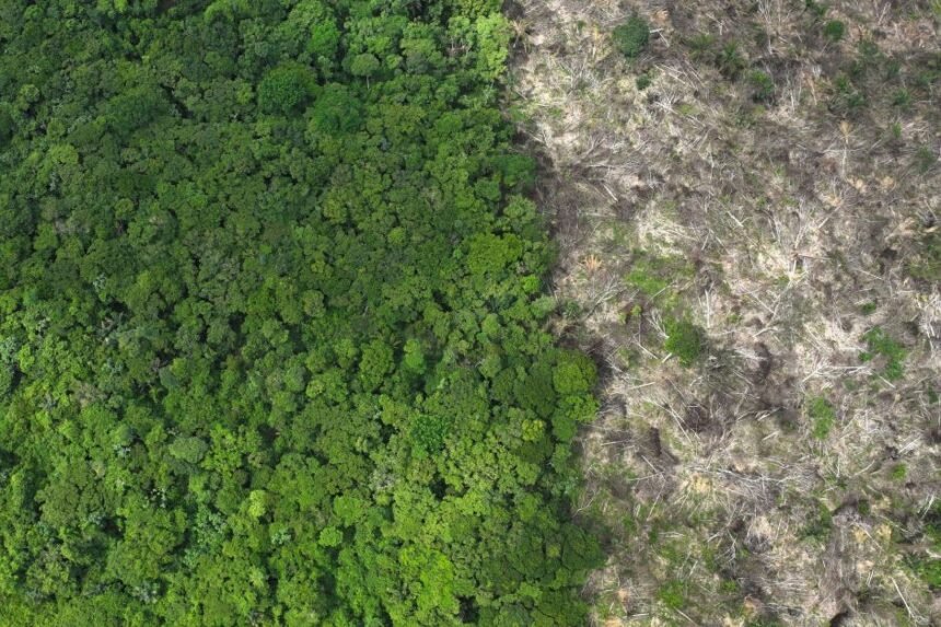 Desmatamento em Terras Indígenas da Amazônia é o menor desde 2018