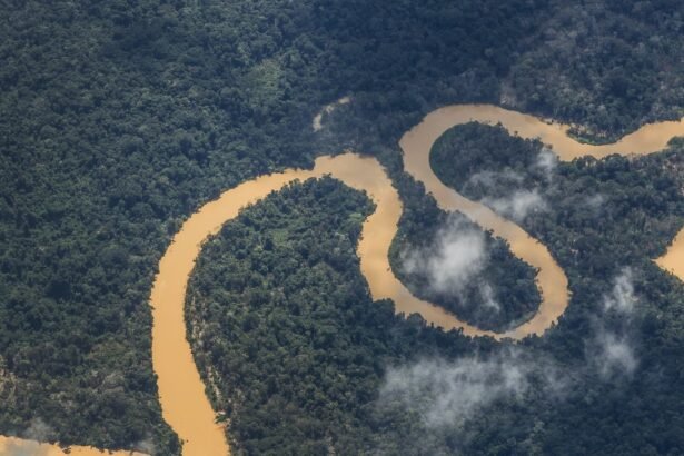 Forças Armadas combatem garimpo na Terra Indígena Yanomami