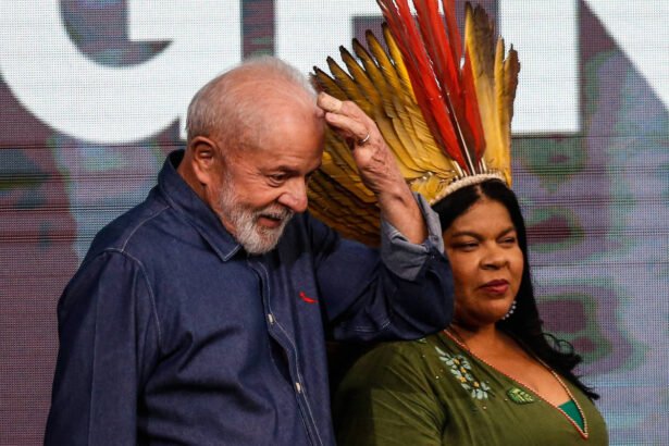 Lula demarca só 2 de 6 terras indígenas esperadas - 18/04/2024 - Cotidiano