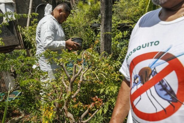 Saiba quanto tempo duram os sintomas da dengue | Brasil