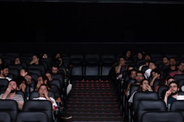 Salas de cinema vão a Brasília pedir inclusão no Perse | Empresas