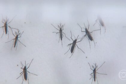 Votorantim confirma terceira morte por dengue em 2024