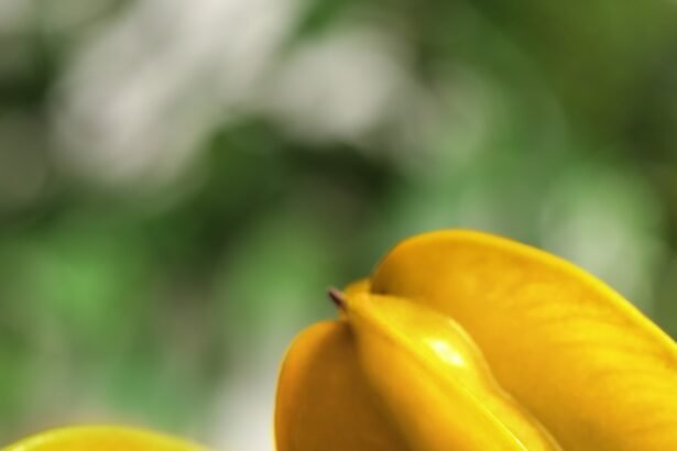 Delicious carambola fruits and slice on wooden table