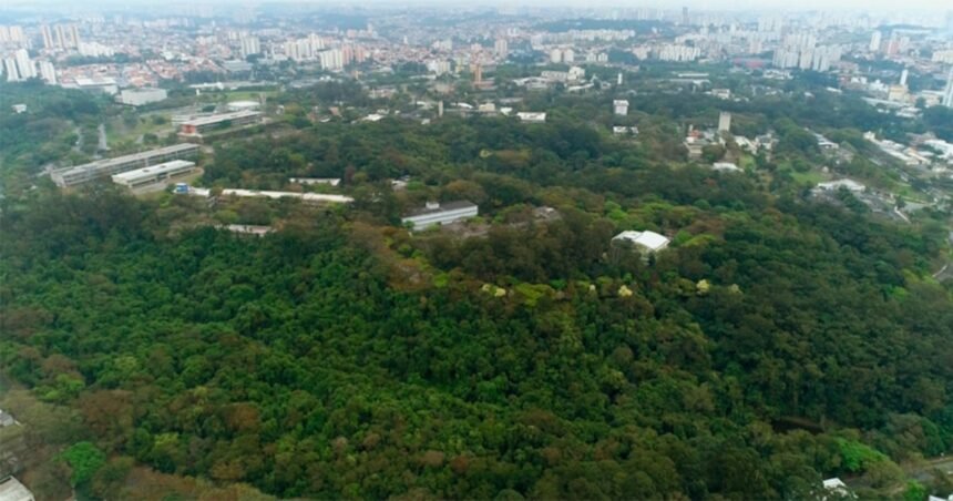 Ribeirão Preto intensifica vacinação contra febre amarela após mortes de macacos